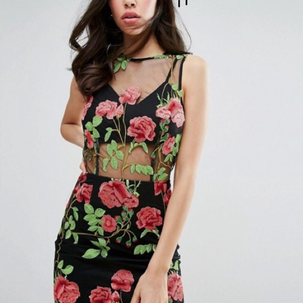 Missguided Rose Black Floral sheer dress - Size US 4